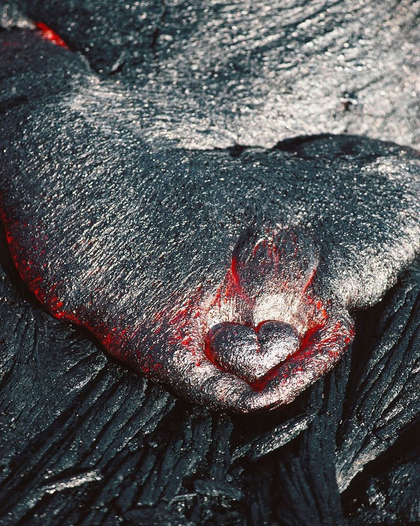 Obrazem: Fascinující podoby symbolu srdce v přírodě