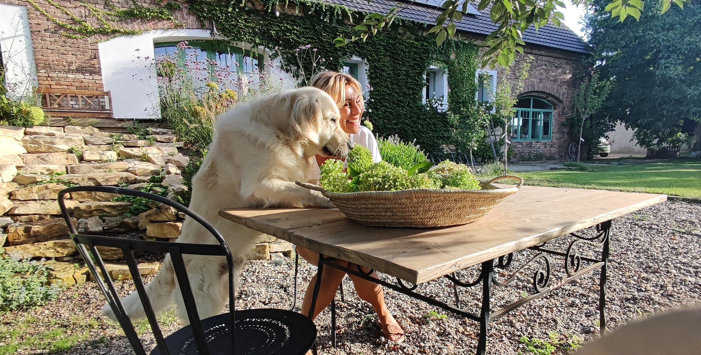 bydlení, rekonstrukce, stodola, interiér, design