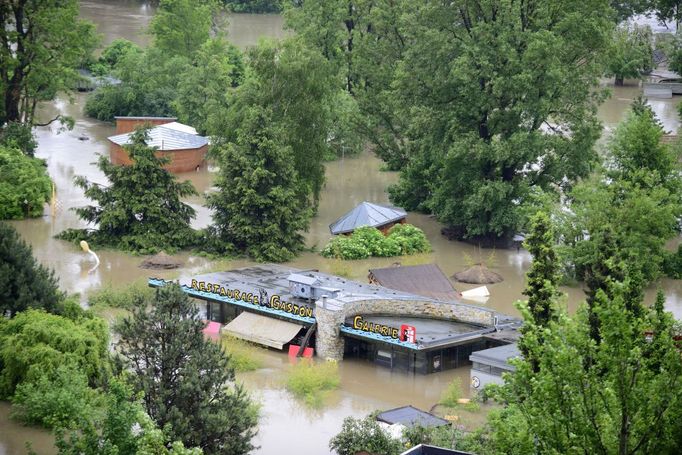 Čestné uznání v kategorii Příroda a životní prostředí získal MICHAEL FOKT za sérii Povodně v ZOO Praha z pohledu zvířat, 2013.