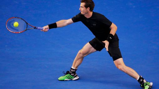 Andy Murray ve finále Australian Open 2015