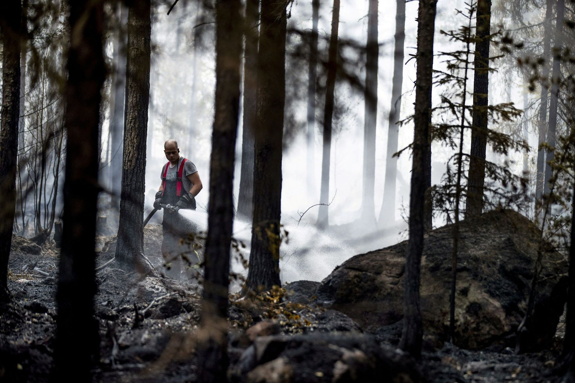 Finsko, požár, lesní požár, les, hasič