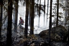 Finsko zasáhl největší lesní požár za půl století, během pěti dní shořelo 300 hektarů
