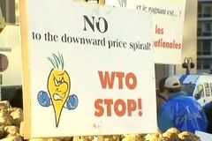 Před WTO zbrojí Evropa i Afrika