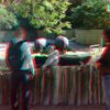 ZOO 3D