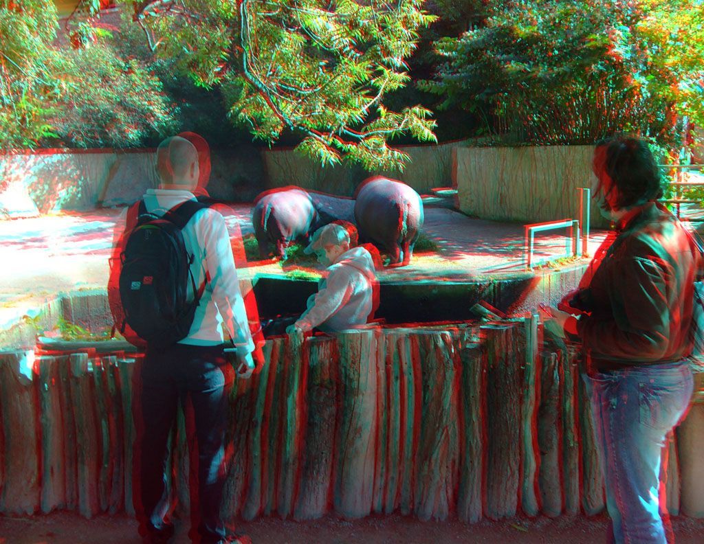 ZOO 3D