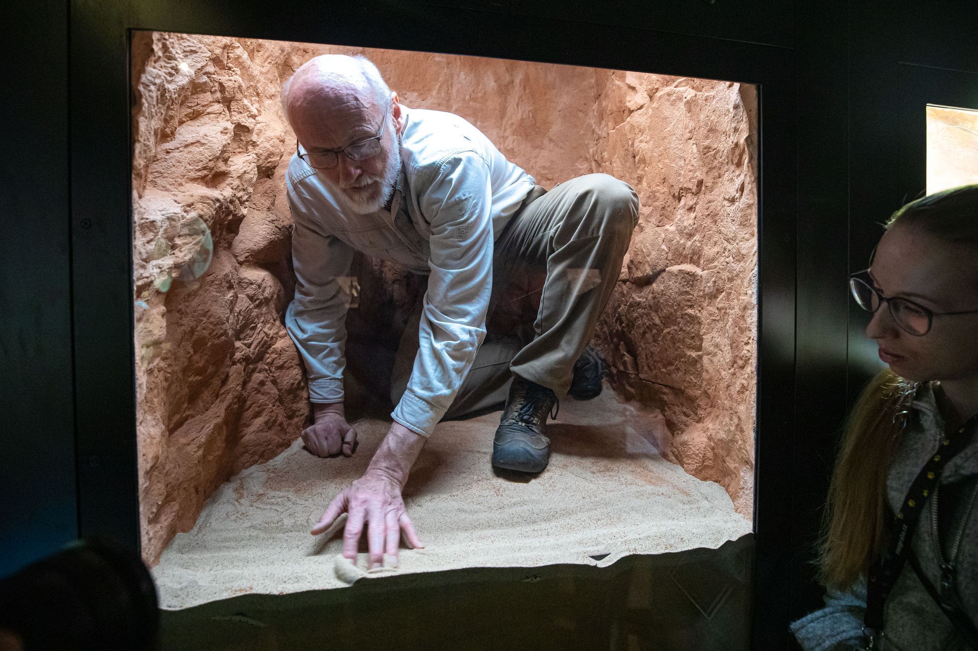 Pražská zoo, nová expozice a pavilon Gobi, koně převalského