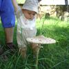 NEPOUŽÍVAT !!! Fotosoutěž houby 2017