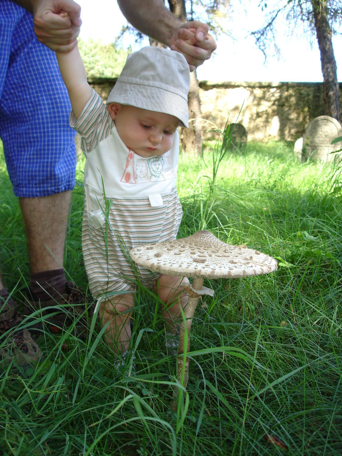 NEPOUŽÍVAT !!! Fotosoutěž houby 2017
