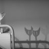Week of Life - Miroslav Dušánek 1