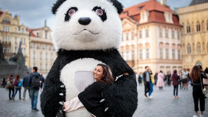 Tunisan v Praze navlékl bezdomovce do kostýmu pandy a vybíral od turistů peníze