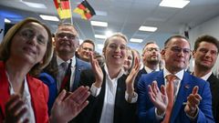 Afd, eurovolby, Alice Weidel, Tino Chrupalla