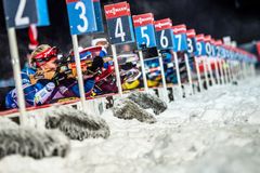 Živě: Sprint žen z Östersundu. Vítková v cíli osmá, senzační vítězkou Němka Herrmannová!