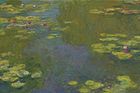 Melničenko je majitelem obrazu od Claudea Moneta v hodnotě 80,5 milionu dolarů (1,7 miliardy korun).