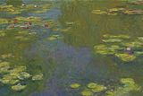 Melničenko je majitelem obrazu od Claudea Moneta v hodnotě 80,5 milionu dolarů (1,7 miliardy korun).