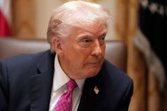 "Trump by zasloužil čestné občanství." AfD opírá svůj plán o tah s Gazou