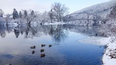 Fotogalerie / CHKO Český Kras / CHKO Český Kras je tu již 50 let