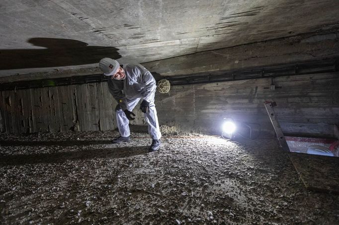 Barrandovský most - připravovaná oprava, prohlídka s primátorem Hřibem. Praha, 8. 2. 2022.