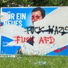Německo AfD 6