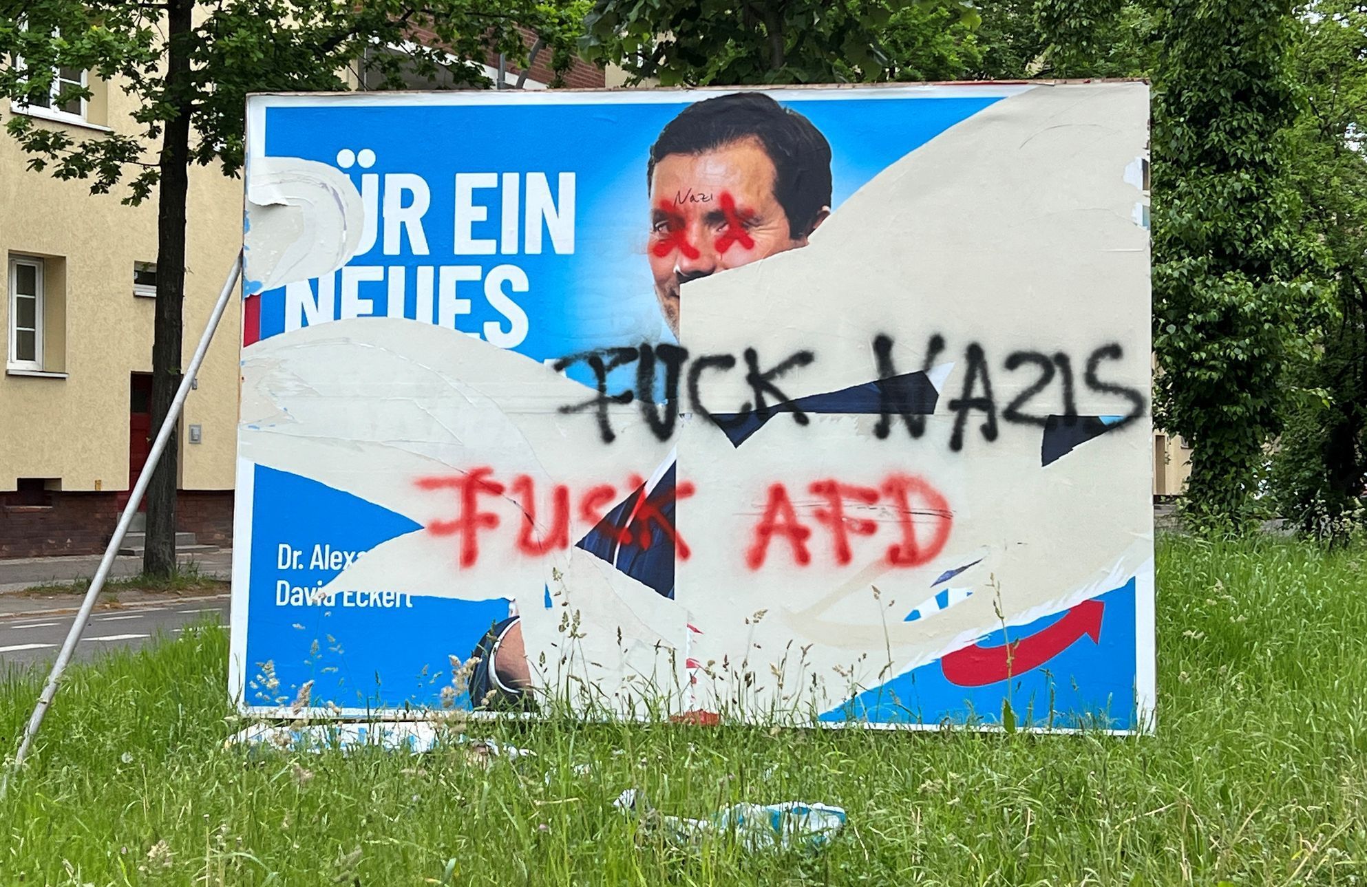 Německo AfD 6