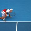 tenis, Australian Open, 2020, osmifinále, Diego Schwartzman