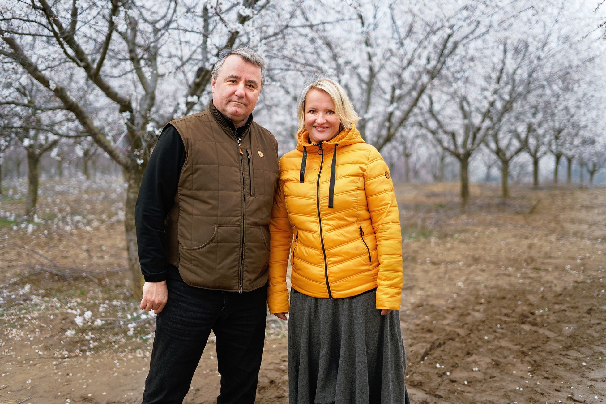 Mandloňové sady v Hustopečích v plném květu, březen 2024