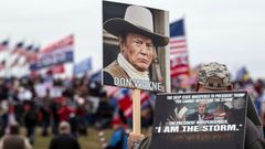 Prezidentův příznivce drží u Kapitolu ceduli s nápisem "Don Wayne", v narážce na amerického westernového herce.