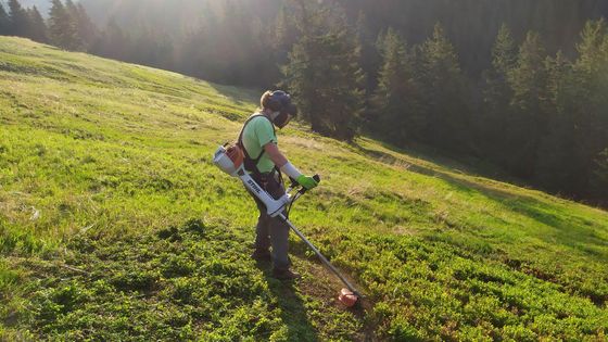 Obrazem: Borůvky musí pryč. V Krkonoších vysekávají zarůstající louky