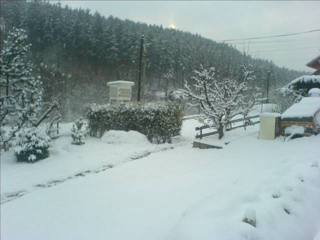 Sníh v Jihlavě
