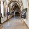 Výstava Klubu moravských fotografů v Brně