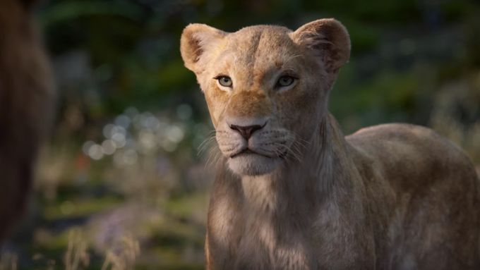Nového Lvího krále natočil Jon Favreau, režisér nedávné Knihy džunglí.
