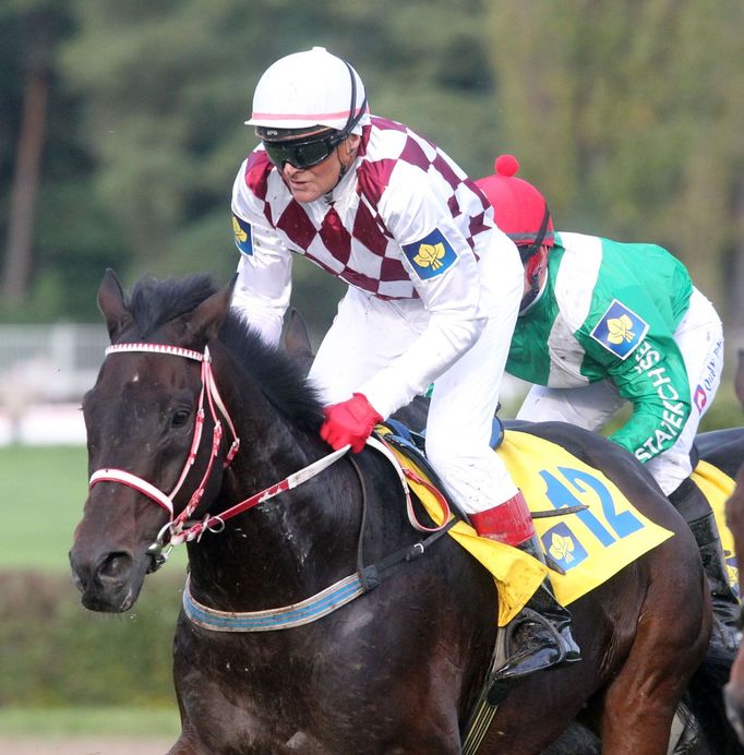 Žokej Josef Váňa na Tiumenovi během Velké pardubické 2012.