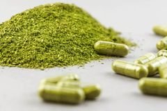 Kratom se od středy může prodávat jen regulovaně v 17 obchodech s licencí
