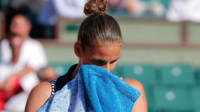 Karolína Plíšková v semifinále French Open