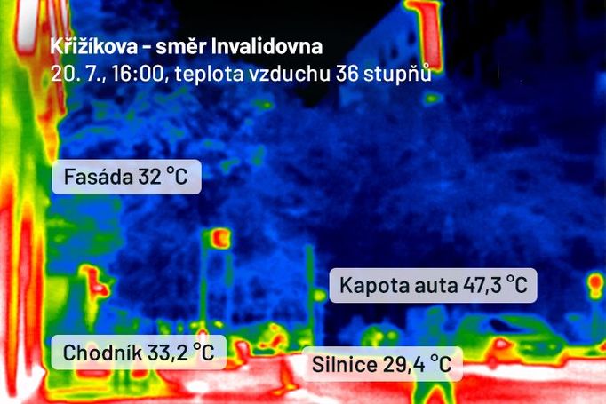 Snímek teplot části ulice Křižíkova, kterou stíní stromy. Termokameru redakci zapůjčila společnost Alza.cz.