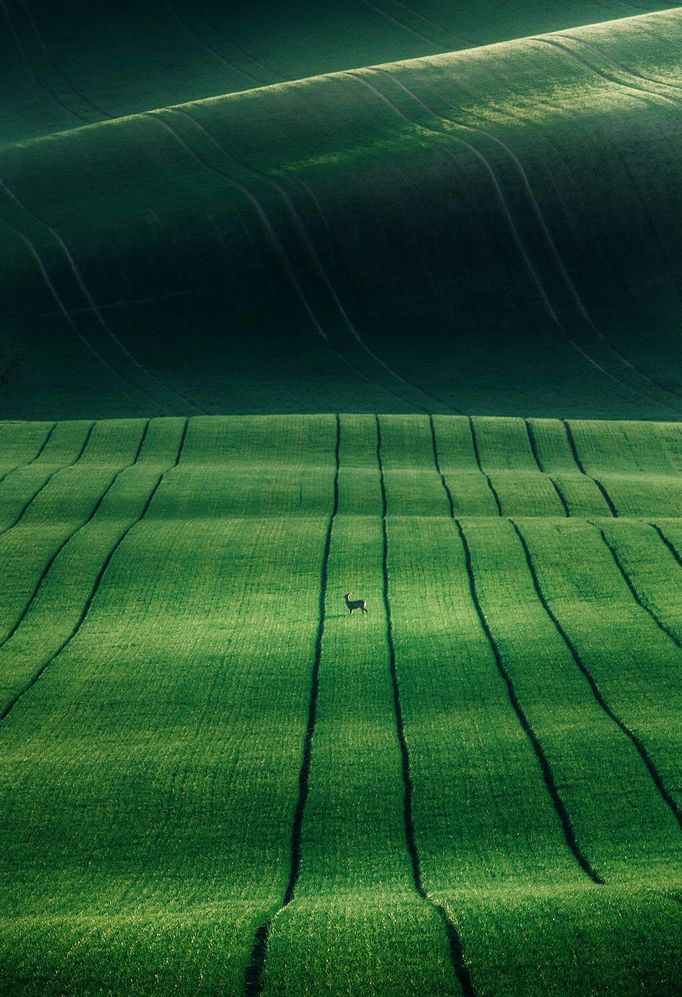 Martina Gebarovská, fotografie z cest