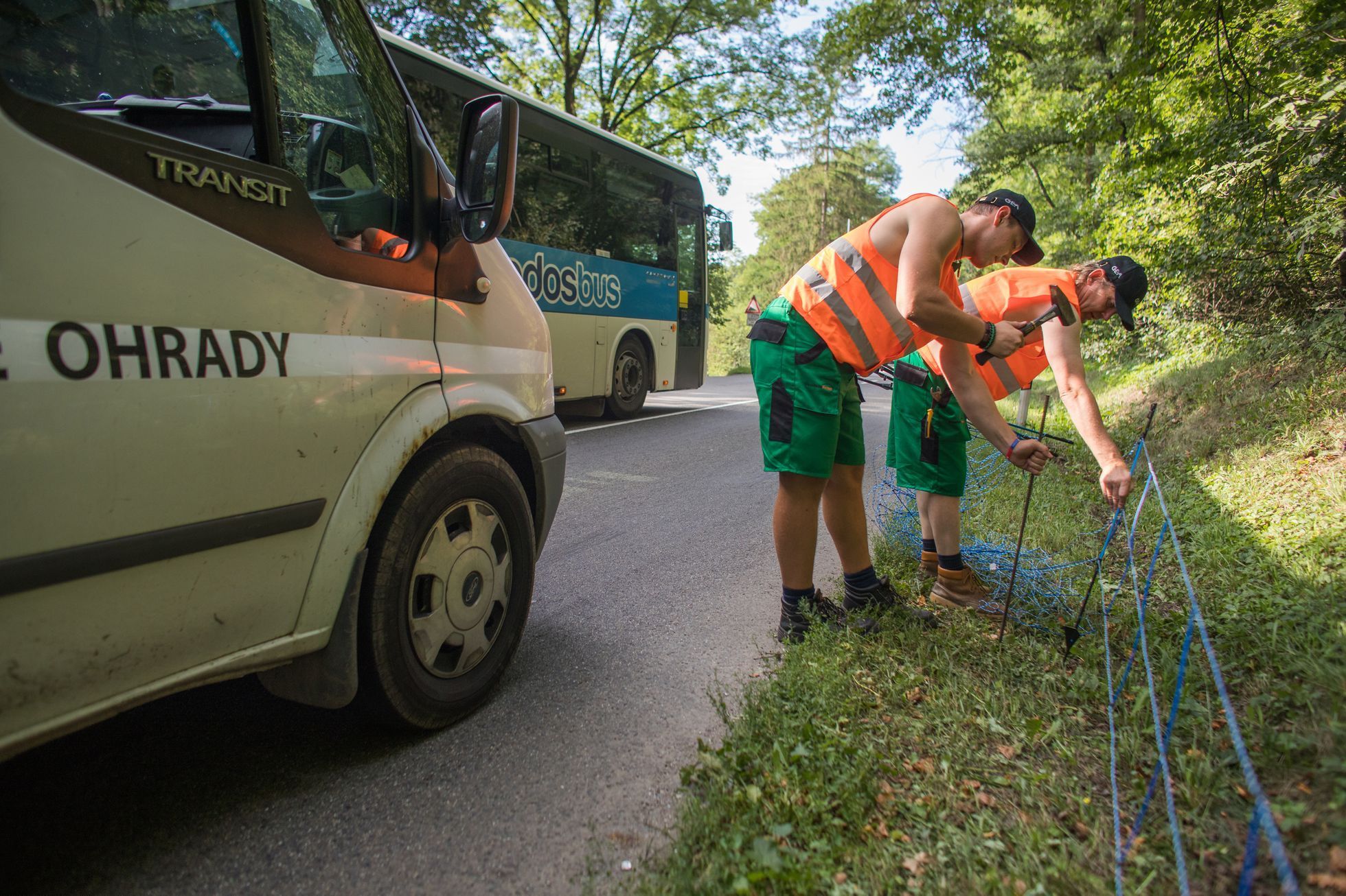 Stavba elektrických ohradníků ve Zlínském kraji kvůli africkému moru divokých prasat.