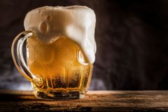 Vědci přepsali dějiny piva. Vařilo se už před 13 tisíci lety v izraelské jeskyni