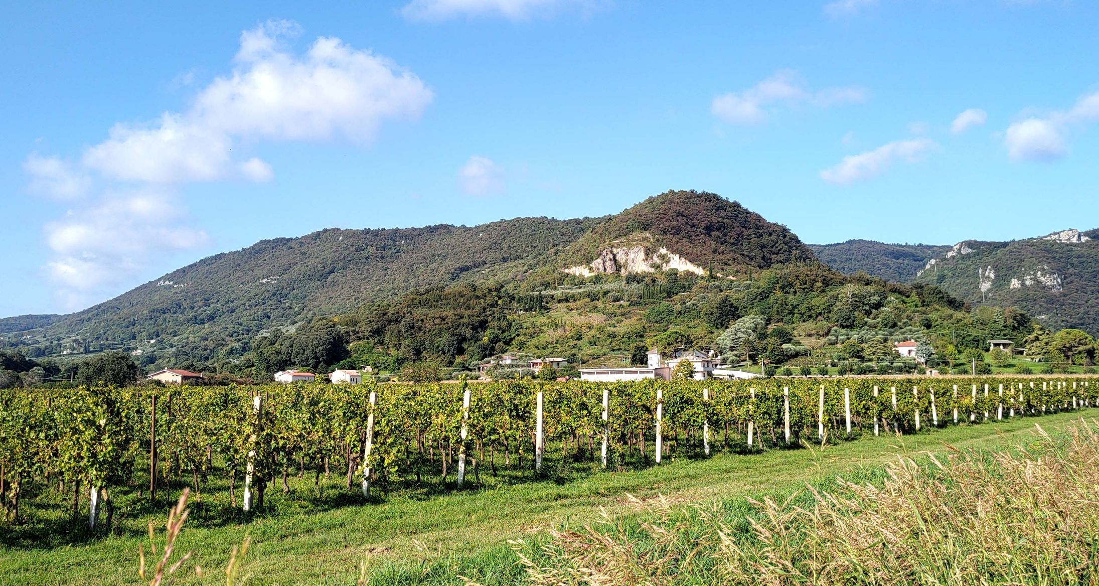 Itálie, pivo, Benátsko, víno,