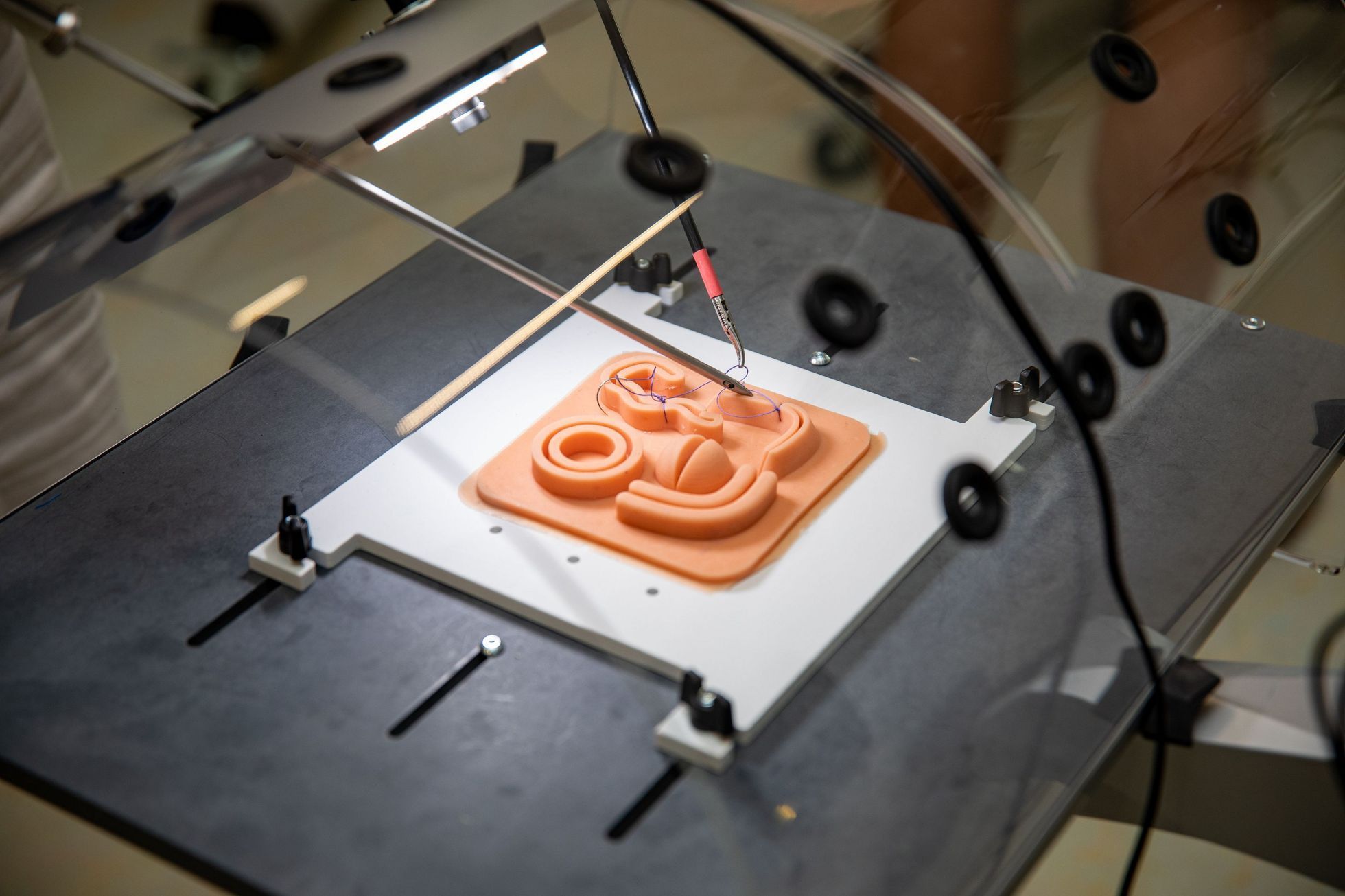 3D tisk lidské tělo