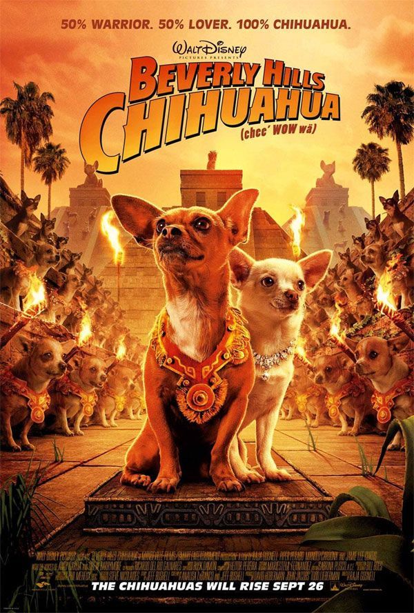 Beverly Hills Chihuahua - čivava