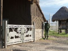 Brána do keňské rezervace Ol Pejeta, kam míří čeští nosorožci