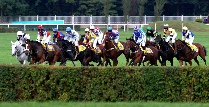 Velká Pardubická 2011: Taxisův příkop