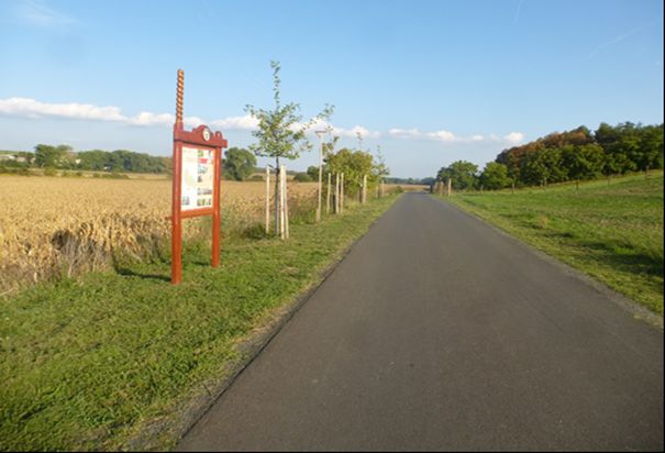 Polní cesta C4. | Foto: Archiv obce Šardice