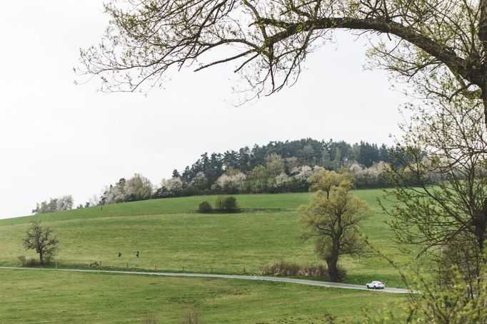 Rallye Šumava 2017