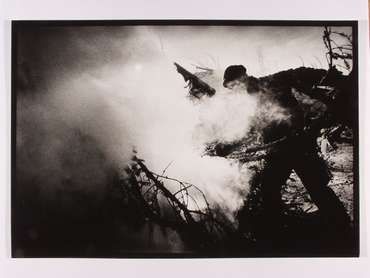 Dvořákova, Fischer