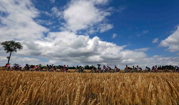 Tour de France 2015: 8. etapa