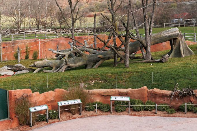 Zoo Praha, nový pavilon goril (Rezervace DJA, gorily a střední Afrika)