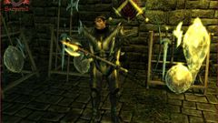 Sacred 2: Fallen Angel