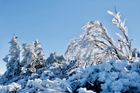 Sněhu je na hřebenech Krkonoš zatím jen pár centimetrů, v kombinaci s ledem a podzimním sluncem ale už vytváří nádherné zimní obrazy.