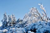 Sněhu je na hřebenech Krkonoš zatím jen pár centimetrů, v kombinaci s ledem a podzimním sluncem ale už vytváří nádherné zimní obrazy.
